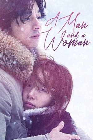 A Man and A Woman (2016) Hindi Dual Audio 480p BluRay 400MB