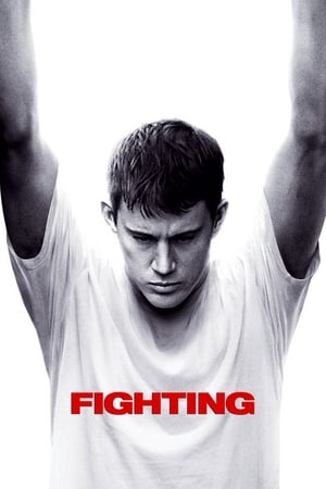 Fighting (2009) Hindi Dual Audio 720p BluRay [1.1GB]