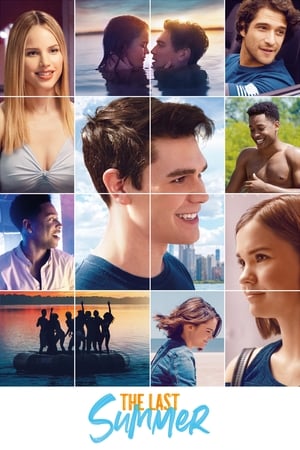 The Last Summer (2019) Hindi Dual Audio 480p web-DL 350MB