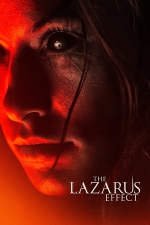 The Lazarus Effect (2015) Hindi Dual Audio 720p BluRay [800MB]